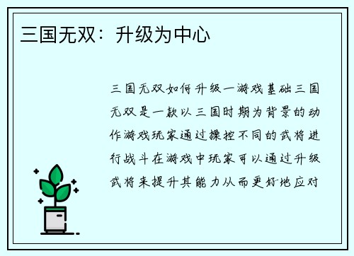 三国无双：升级为中心