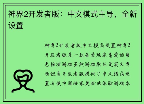 神界2开发者版：中文模式主导，全新设置