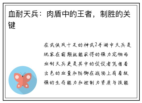 血耐天兵：肉盾中的王者，制胜的关键