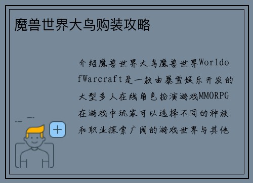 魔兽世界大鸟购装攻略